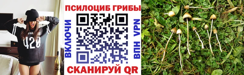 Галлюциногенные грибы прущие грибы  Армянск 